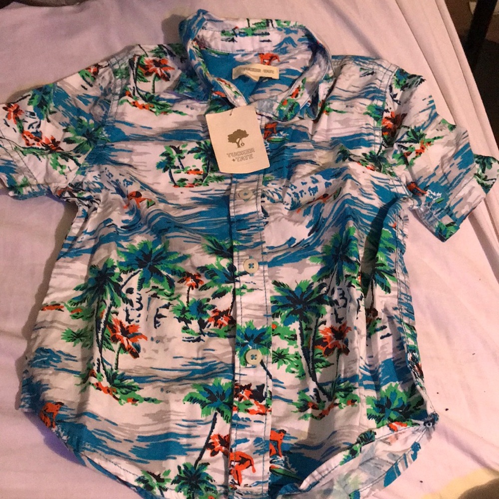 Nordstrom Tucker &Tate button down shirts